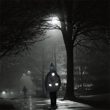 Įkelti vaizdą į galerijos rodinį, KIŠKIS ir GĖLĖ atšvaitai lipdukai/ Reflective HARE & FLOWER sticker set - Neshkis