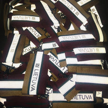 Įkelti vaizdą į galerijos rodinį, TRISPALVĖ atšvaitas pakabukas / FLAG reflective pendant - Neshkis